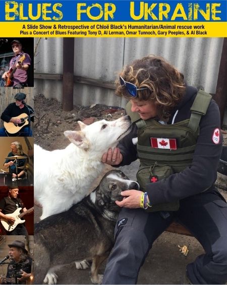 brown and black chairs in stadium_edited